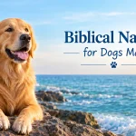 Biblical names for dogs male
