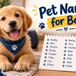 Pet names for boy