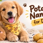 Potato names for dogs
